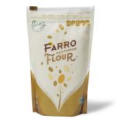 Pereg Farro Flour 16 oz