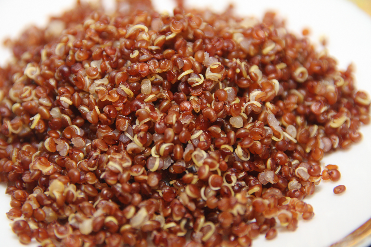 Red Quinoa Serves 12 People