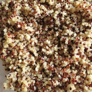 Tri-Color Quinoa Serves 12 People