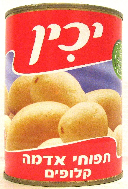 Yachin