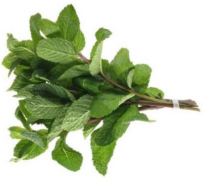 Fresh Mint (Bunch)