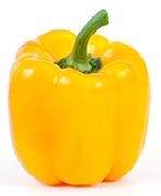 Holland Yellow Bell Pepper LB.