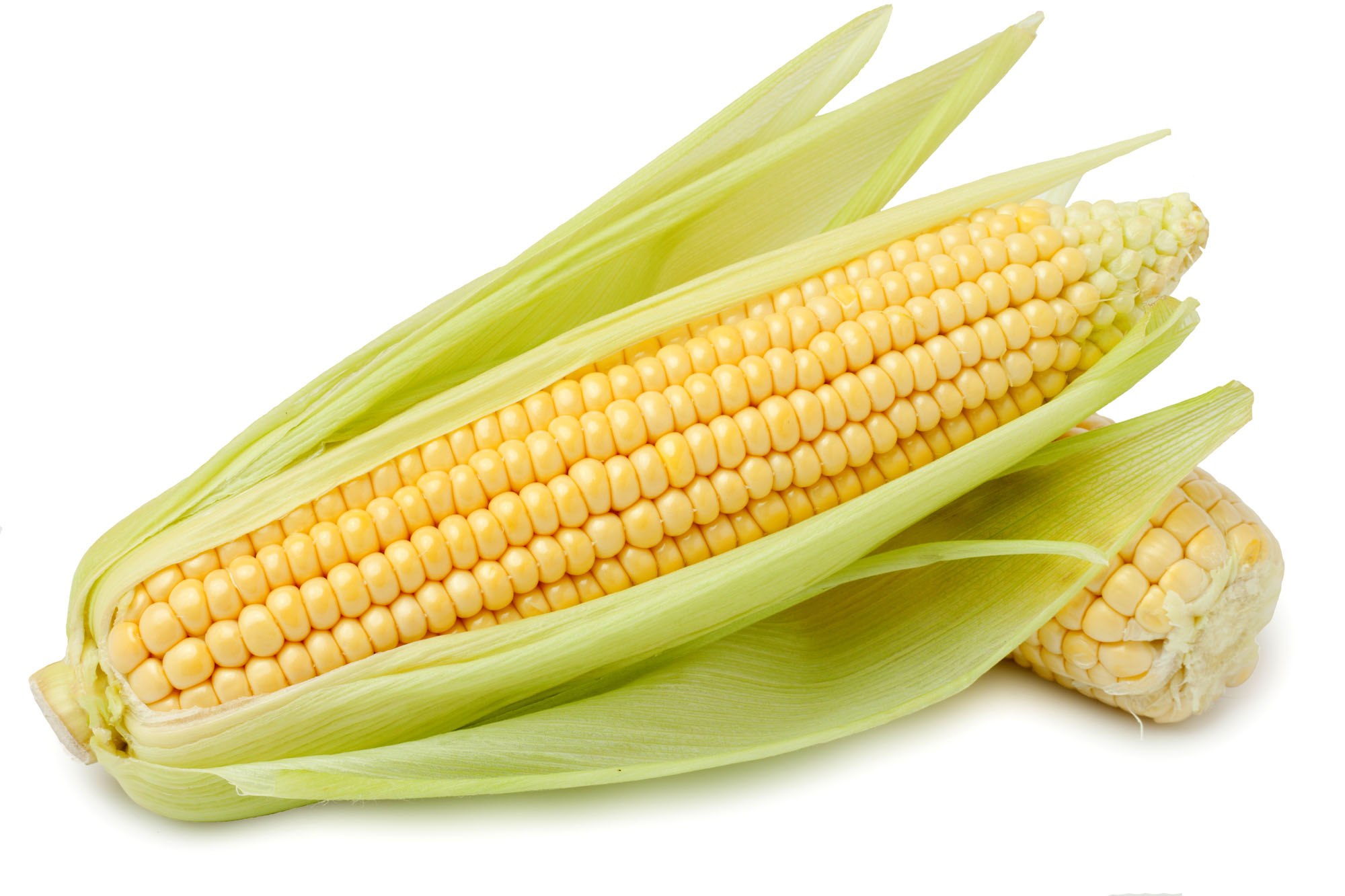 Yellow Corn 3 Pack