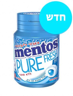 Mentos Pure Fresh Mint Gum 30 Pieces