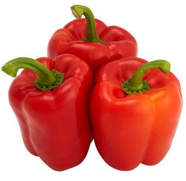 Holland Red Bell Peppers 6 pack