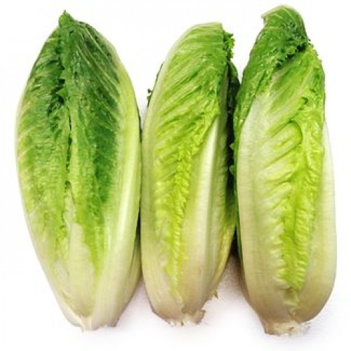 Romaine Hearts 3 Pack